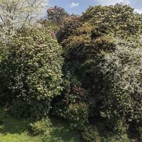 評論圖片 3