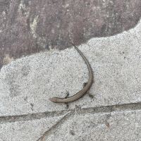 評論圖片 8