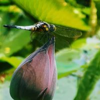 評論圖片 9