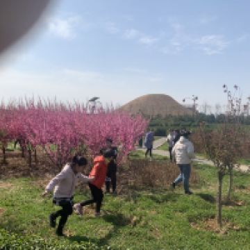 評論圖片 4