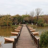 評論圖片 4