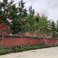 評論圖片 8