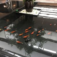 評論圖片 6