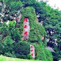 評論圖片 2