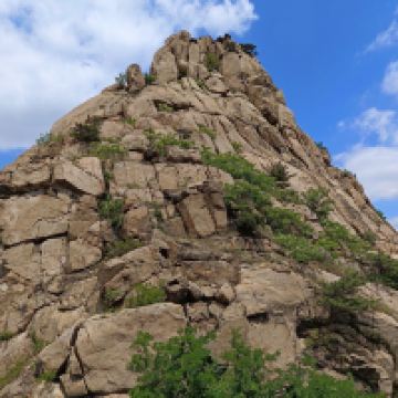 評論圖片 3
