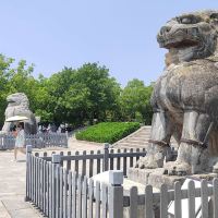 評論圖片 8