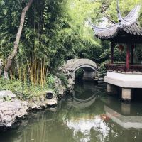 評論圖片 5