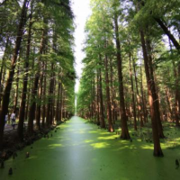 評論圖片 3