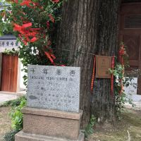 評論圖片 2