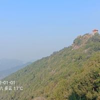 評論圖片 8