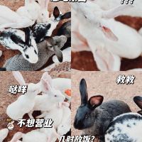 評論圖片 7