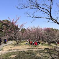 評論圖片 3