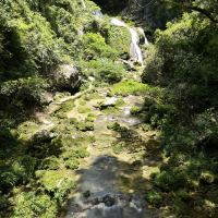 評論圖片 5