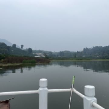 評論圖片 1
