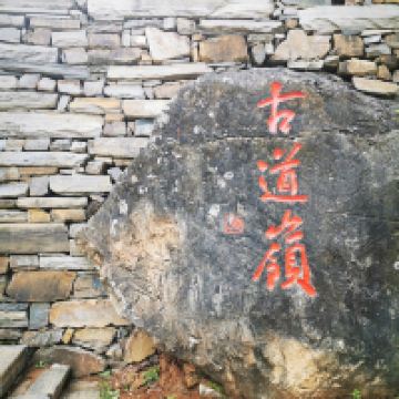 評論圖片 6