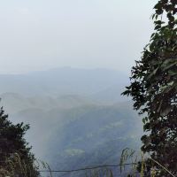評論圖片 3