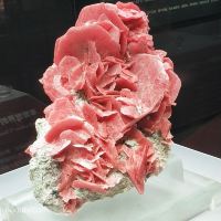 評論圖片 1
