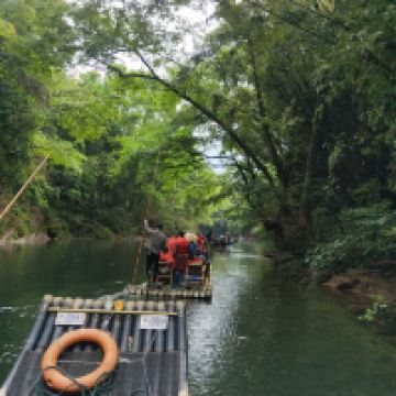 評論圖片 9