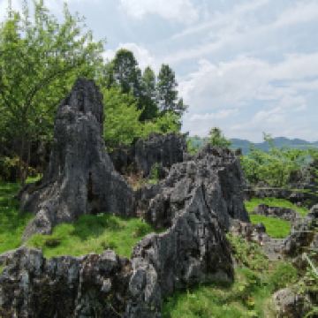 評論圖片 4