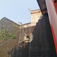 評論圖片 7