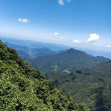 評論圖片 4