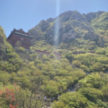 評論圖片 3