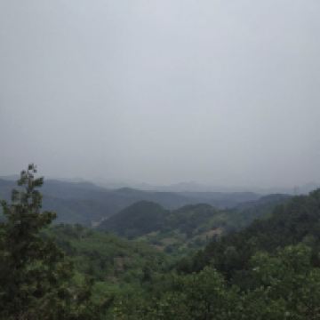 評論圖片 7
