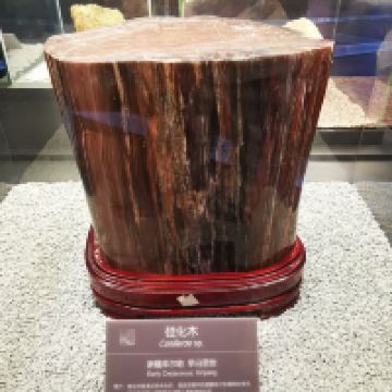評論圖片 5