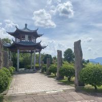 評論圖片 7