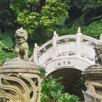 評論圖片 2