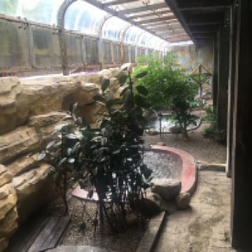評論圖片 5