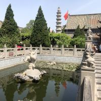 評論圖片 7