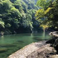 評論圖片 4