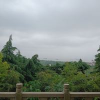 評論圖片 9