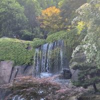 評論圖片 4