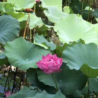 評論圖片 8