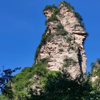 評論圖片 9