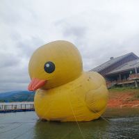 評論圖片 3