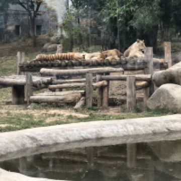 評論圖片 8