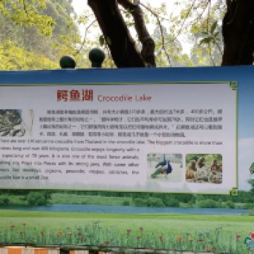 評論圖片 5