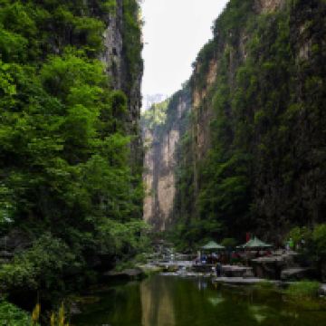 評論圖片 5