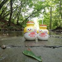 評論圖片 6