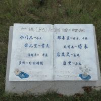 評論圖片 9