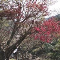 評論圖片 6