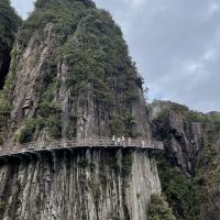 評論圖片 9