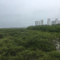 評論圖片 6