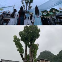 評論圖片 5