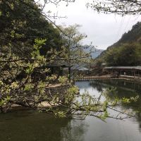 評論圖片 4