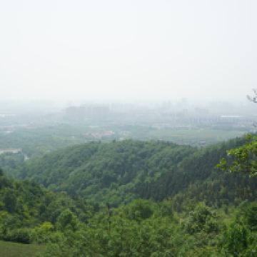 評論圖片 4