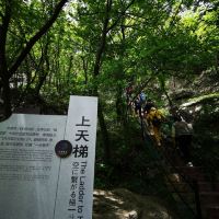評論圖片 3